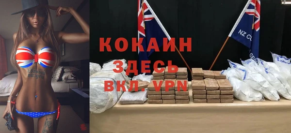 твердый Михайлов