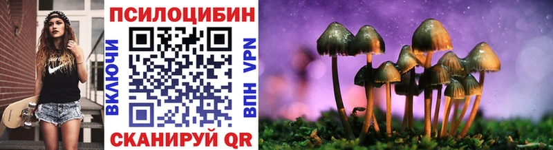 Псилоцибиновые грибы Psilocybine cubensis  Нестеровская 